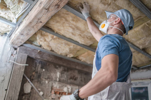 Types of Insulation We Offer in Doral, FL
