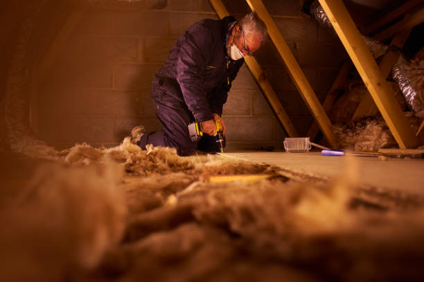 Types of Insulation We Offer in Doral, FL